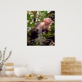 DNA-BOOM OF -Boom POSTER-GELD ACHTERGROND Poster (Keuken)