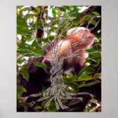 DNA-BOOM OF -Boom POSTER-GELD ACHTERGROND Poster (Voorkant)