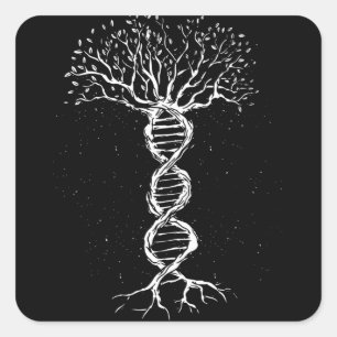 DNA Boom Vierkante Sticker