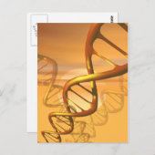 DNA-briefkaart Briefkaart (Voorkant / Achterkant)