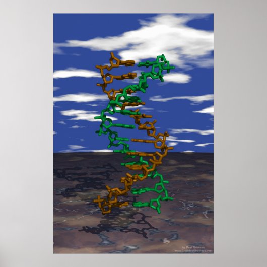 DNA Buiten Poster (Voorkant)