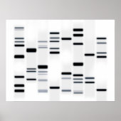 DNA-code Art Black op wit Poster (Voorkant)