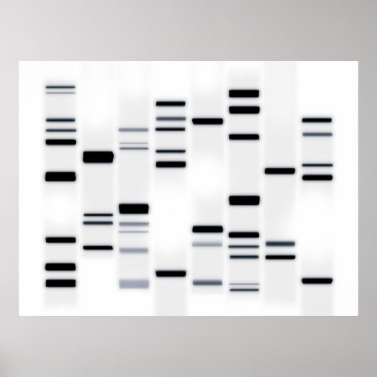 DNA-code Art Black op wit Poster (Voorkant)