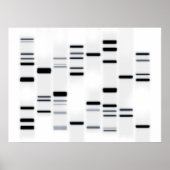 DNA-code Art Black op wit Poster (Voorkant)