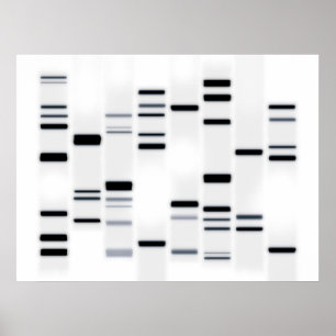 DNA-code Art Black op wit Poster