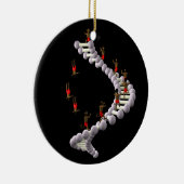 DNA: Darwins evolutie Keramisch Ornament (Rechts)