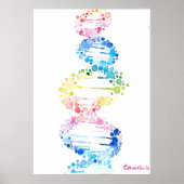 DNA, de spiraal van het leven Poster (Voorkant)