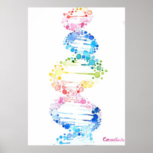 DNA, de spiraal van het leven Poster