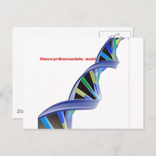 DNA - desoxyribonucleïnezuur Briefkaart (Voorkant / Achterkant)