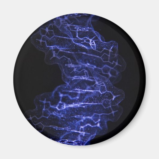 DNA Double Helix koelkastmagneet Magneet (Voorkant)