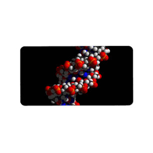 DNA Double Helix-model Etiket