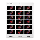 DNA Double Helix-model Etiket (Full Sheet)