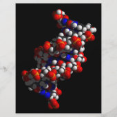 DNA Double Helix-model Flyer (Voorkant)