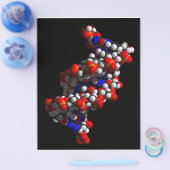 DNA Double Helix-model Flyer (Enkel)