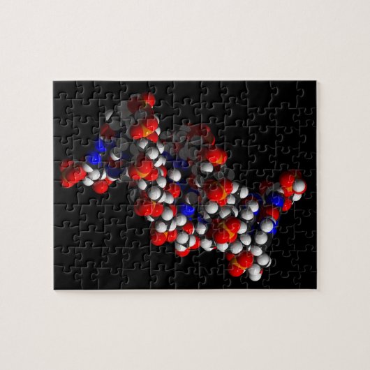 DNA Double Helix-model Legpuzzel (Horizontaal)