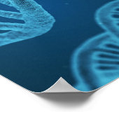 DNA Double Helix Poster (Hoek)