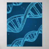 DNA Double Helix Poster (Voorkant)