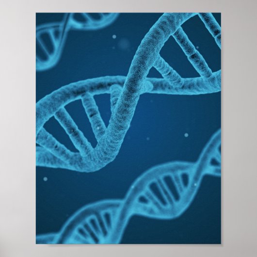 DNA Double Helix Poster (Voorkant)