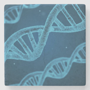 DNA Double Helix Stenen Onderzetter