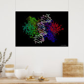 DNA-eiwitcomplex Poster (Keuken)