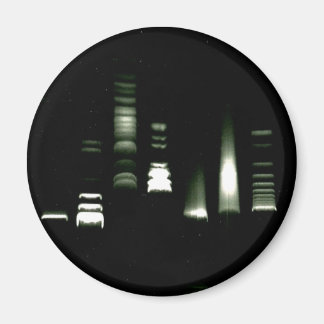 DNA-gel elektroforese magneet