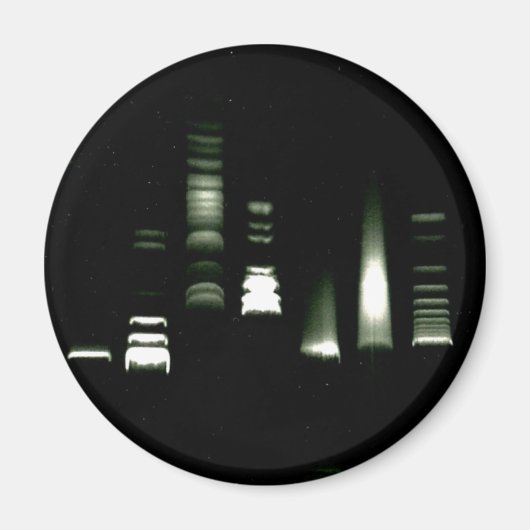 DNA-gel elektroforese magneet (Voorkant)