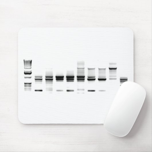 DNA Gel Muismat (Met muis)