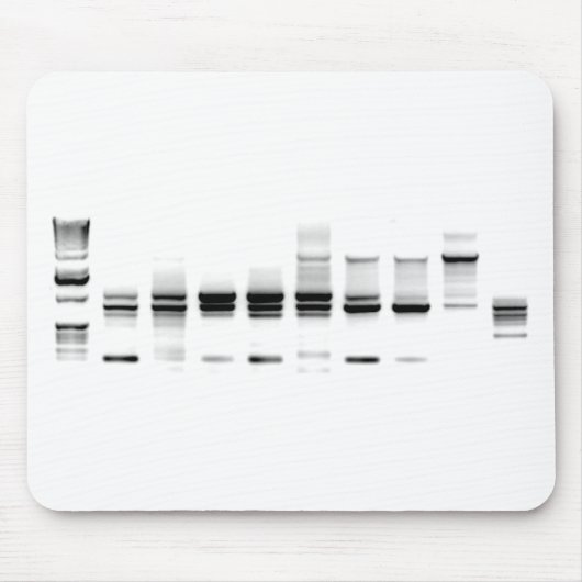 DNA Gel Muismat (Voorkant)