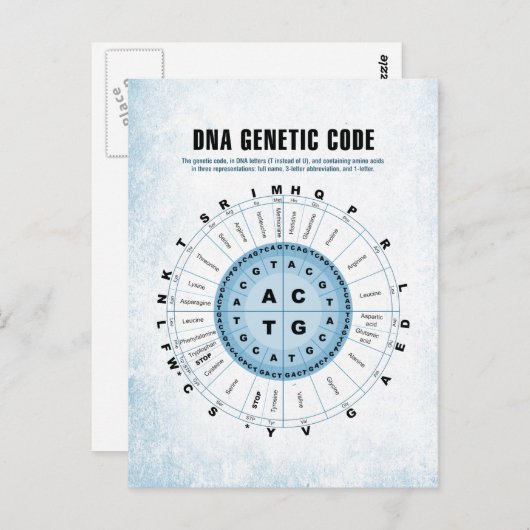 DNA-genetische code Briefkaart (Voorkant / Achterkant)