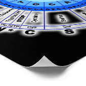 DNA-genetische code Cirkel gencodon aminozuur op B Poster (Hoek)