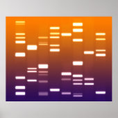 DNA-genetische code Oranje blauw Poster (Voorkant)