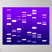 DNA-genetische code Paars Poster (Voorkant)