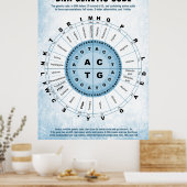 DNA-genetische code Poster (Keuken)