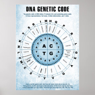 DNA-genetische code Poster