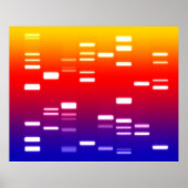DNA-genetische code regenboog Poster (Voorkant)