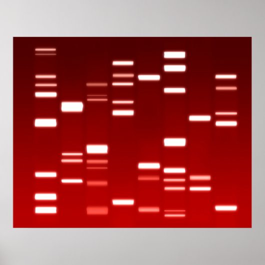 DNA-genetische code rood Poster (Voorkant)