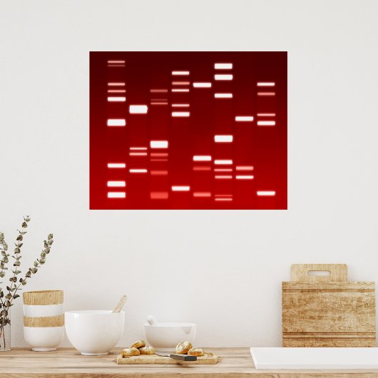 DNA-genetische code rood Poster (Keuken)