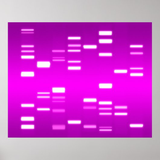 DNA-genetische code Roze magenta Poster (Voorkant)