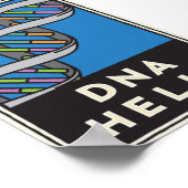 DNA Helix Poster (Hoek)
