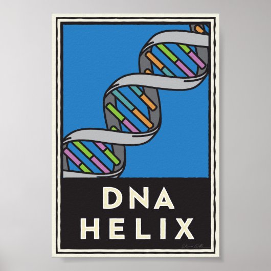 DNA Helix Poster (Voorkant)