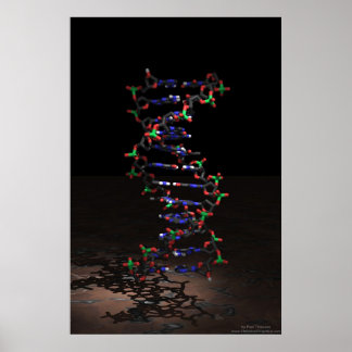 DNA in de Spotlight Poster