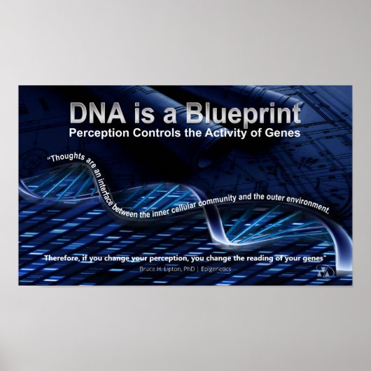 DNA is een Blueprint Poster (Voorkant)