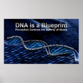 DNA is een Blueprint Poster (Voorkant)