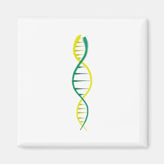 DNA MAGNEET (Voorkant)