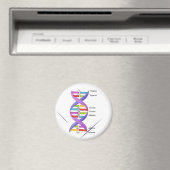 DNA-magneet Magneet (Insitu (Vaatwasser))