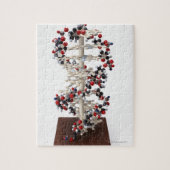 DNA-model Legpuzzel (Verticaal)