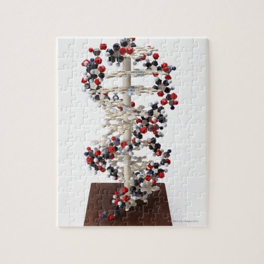 DNA-model Legpuzzel (Verticaal)