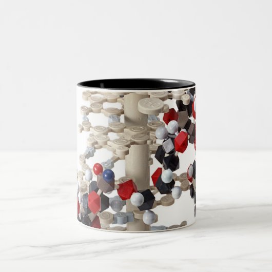DNA-model Tweekleurige Koffiemok (Center)