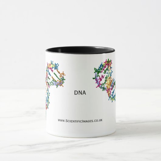 DNA MOK (Midden)