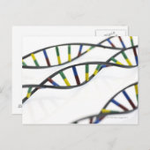 DNA-moleculen (deoxyribonucleïnezuur). Briefkaart (Voorkant / Achterkant)